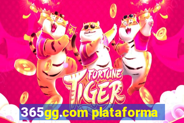 365gg.com plataforma